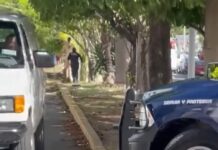 Gringo drogado y desnudo golpeó a policías de Playa del Carmen, ya fue detenido.