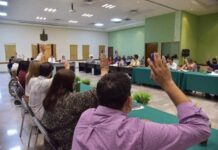 APRUEBA CABILDO NOMBRE DE JOSÉ MANUEL CASTILLO VELÁZQUEZ EL HÉROE DE LA LAGUNA A CALLE PROLONGACIÓN GUERRERO*