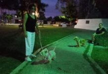 CAJEMENSES CONMEMORAN EL DÍA DEL PERRO SACÁNDOLOS A PASEAR.