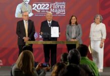 AMLO envía a Cámara de Diputados iniciativa para eliminar horario de verano