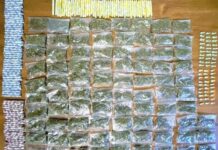 Operativo coordinado de Policía Estatal y Sedena asegura 269 paquetes con sustancia similar al narcótico en San Ignacio Río Muerto*