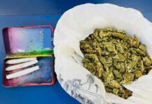 Incauta Policía Estatal paquetes con hierba verde a persona en Cajeme*.