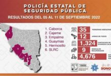 *Operativo de la Policía Estatal incauta 12 armas de fuego durante acciones de seguridad en municipios*