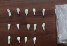 Registra Policía Estatal 30 personas aseguradas durante los primeros días de noviembre en Hermosillo*