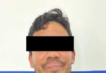 Incauta Policía Estatal sustancias prohibidas en Cajeme*