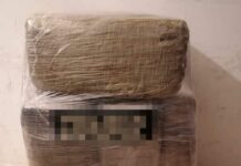 Localiza Policía Estatal alrededor de 30 kilogramos de hierba verde en Nogales.