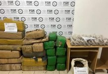 Asegura Mesa Estatal de Seguridad 137 kilos de marihuana en Puerto Peñasco.