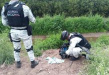 Mesa Estatal de Seguridad saca de las calles dos mil dosis de droga.