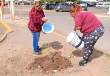 IMPULSA PROGRAMAS PREVENTIVOS DE LA POLICÍA MUNICIPAL REFORESTACIÓN.