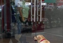 Perrito espera pacientemente a su dueño afuera del banco.