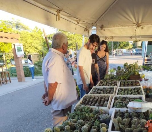INICIA CON GRAN ÉXITO LA EXPO CACTUS Y SUCULENTAS 2024